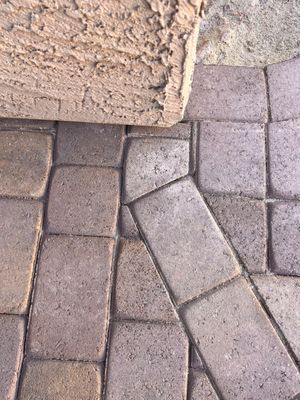 Photo of Tough Turtle Turf - Phoenix