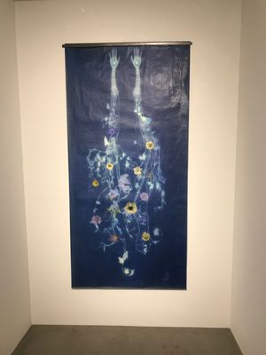 Photo of Lisa Sette Gallery