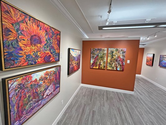 Photo of The Erin Hanson Gallery