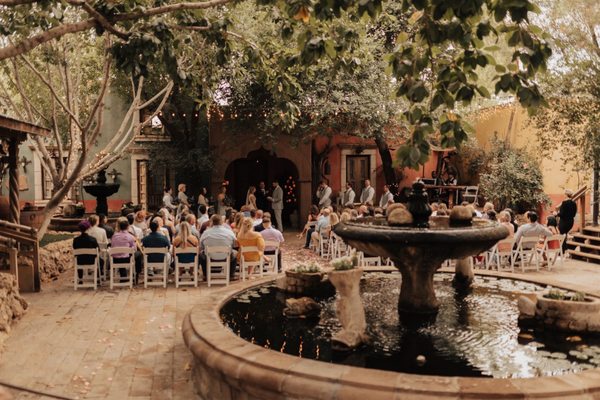 Photo of Boojum Tree Hidden Gardens