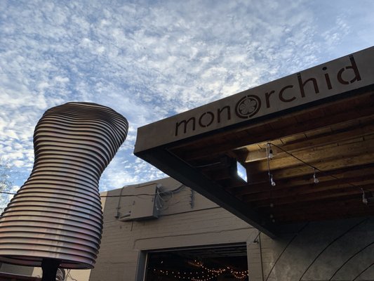 Photo of Monorchid
