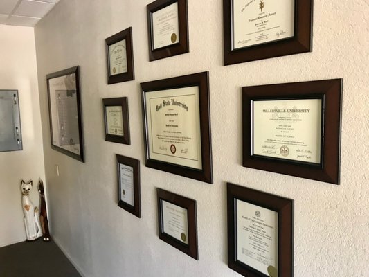 Photo of Dr. Tricia Groff - Executive Coaching for High Achievers