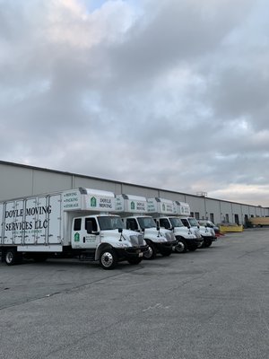 Photo of Doyle Moving Services