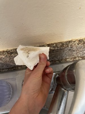 Photo of MaidThis Cleaning - Los Angeles