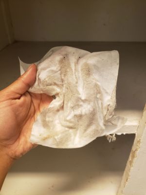 Photo of MaidThis Cleaning - Los Angeles