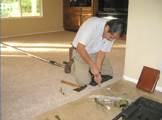Photo of Excel Carpet Cleaning