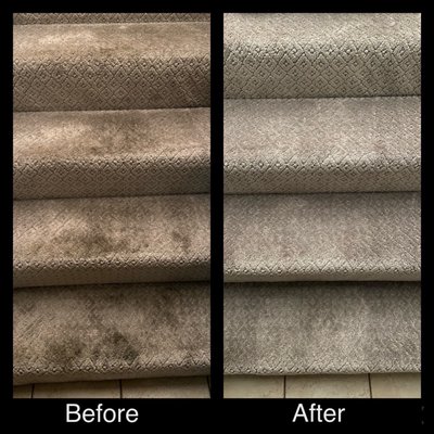 Photo of Action Carpet Cleaning