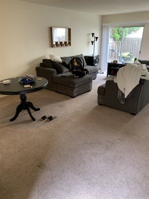 Photo of Action Carpet Cleaning