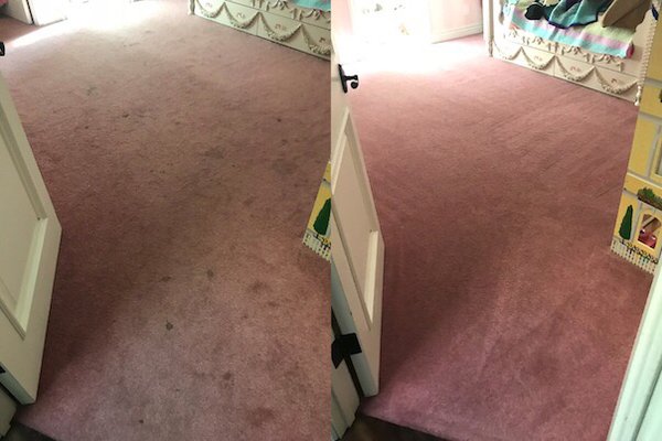 Photo of Blue Rooster Carpet Cleaning