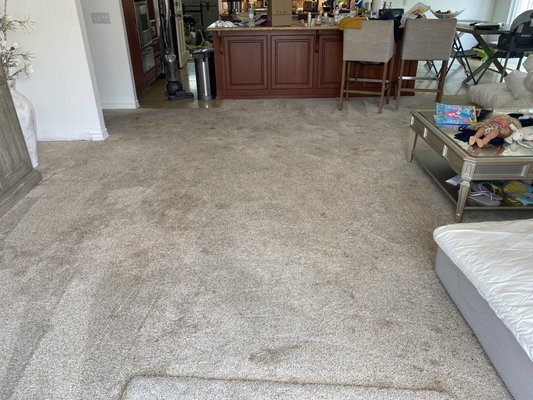 Photo of Five Star Clean