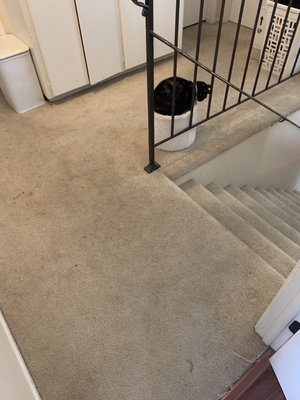 Photo of Five Star Clean