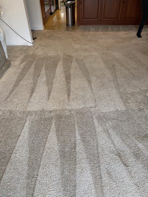 Photo of Five Star Clean