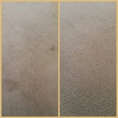 Photo of Gomez Chem Dry