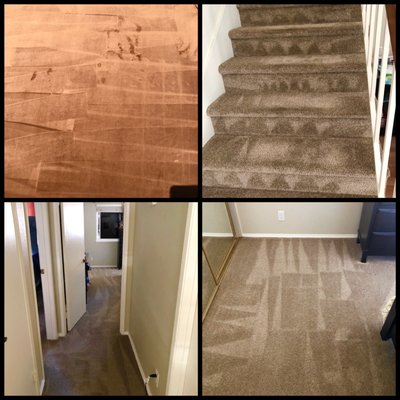 Photo of Billy's Carpet Care