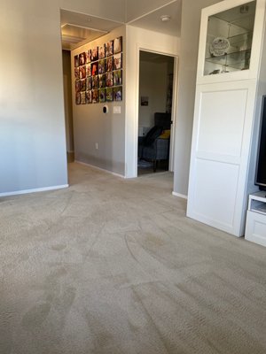 Photo of Sparkle Carpet Steam Cleaning
