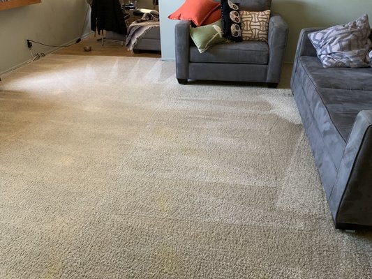 Photo of Anderson Carpet & Upholstery Cleaning