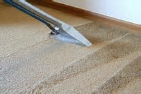 Photo of Carpet Cleaning Services