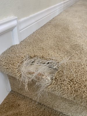 Photo of Orange County Carpet Repair & Cleaning