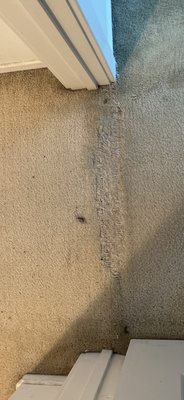 Photo of Orange County Carpet Repair & Cleaning