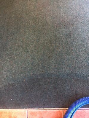 Photo of Sunset Carpet and Tile Cleaning