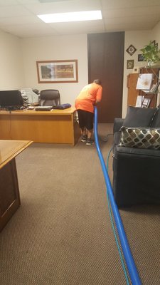 Photo of Buff Family Carpet Care
