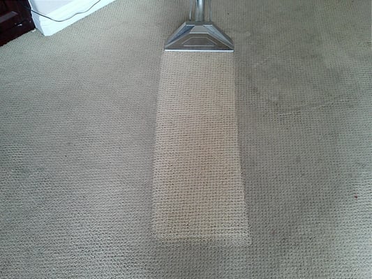 Photo of Buff Family Carpet Care