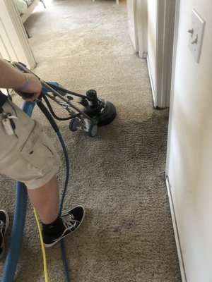 Photo of Revive Carpet Repair, Dyeing & Cleaning
