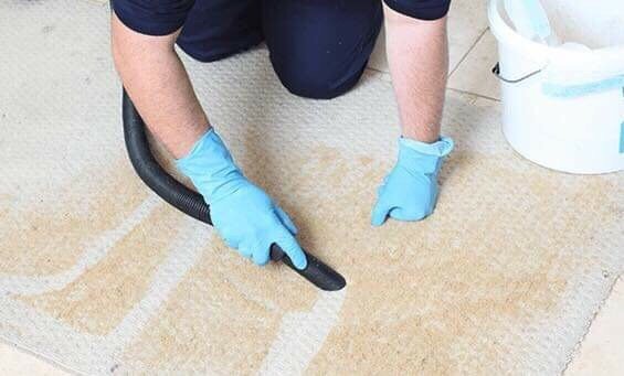 Photo of Carpet Care California