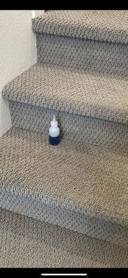 Photo of Tromp's Carpet Cleaning