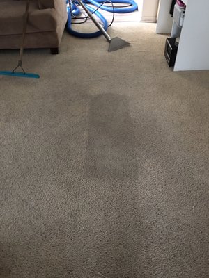Photo of Tromp's Carpet Cleaning