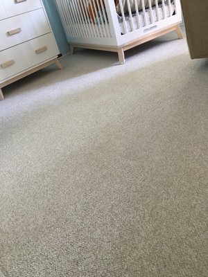 Photo of Janssen's Certified Floor & Fabric Care