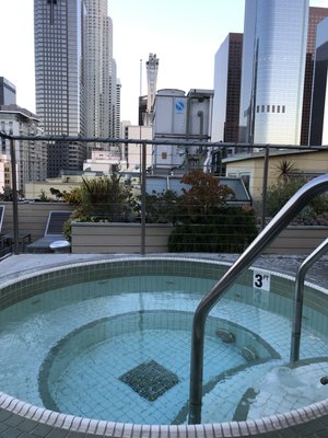 Photo of LA Poolfessional