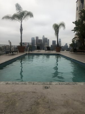 Photo of LA Poolfessional