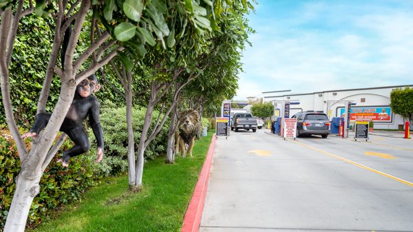 Photo of El Segundo 5 min Express Car Wash