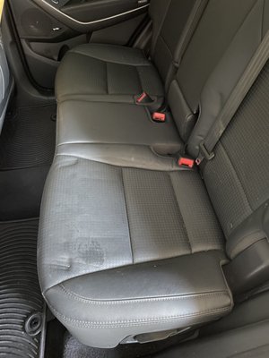 Photo of Dedicated Detailing
