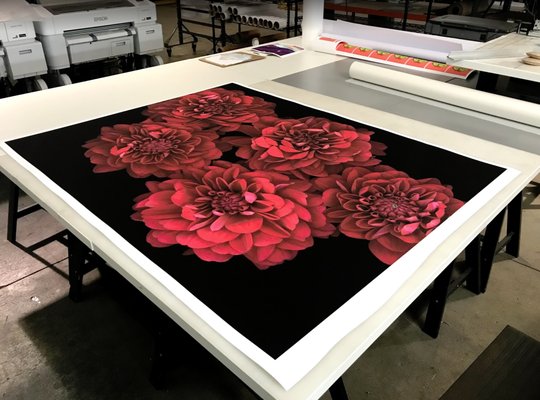 Photo of POV Fine Art Printing