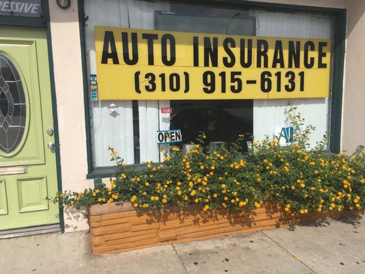 Photo of Global International Insurance Sales