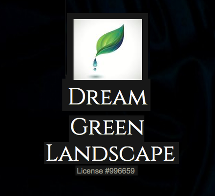 Photo of Dream Green Landscape