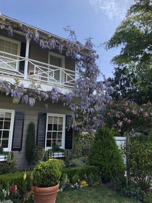 Photo of Mary Cardea Landscaping