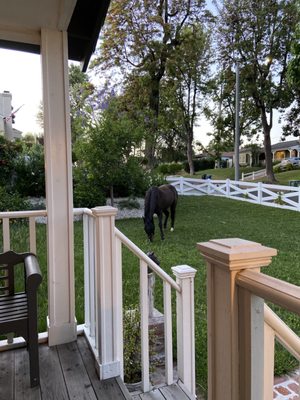 Photo of Mary Cardea Landscaping