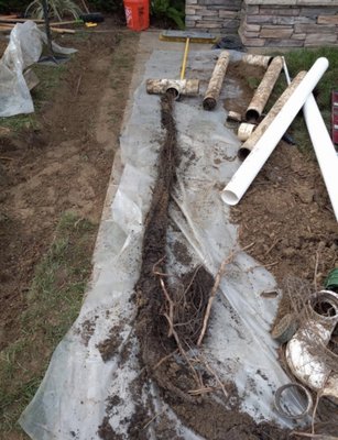 Photo of Professional Drainage Experts