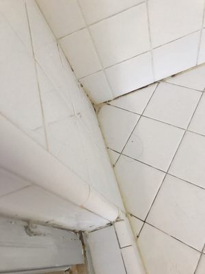 Photo of Grout Work LA