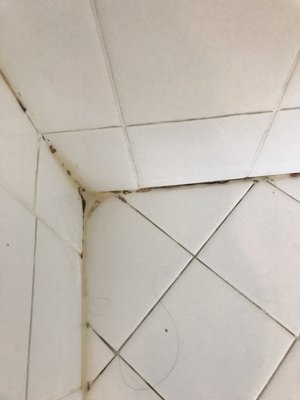 Photo of Grout Work LA