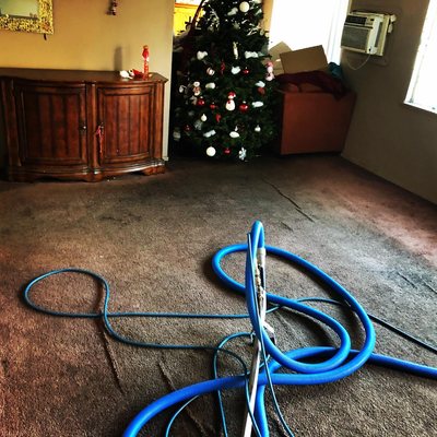 Photo of SteamBright Carpet Care
