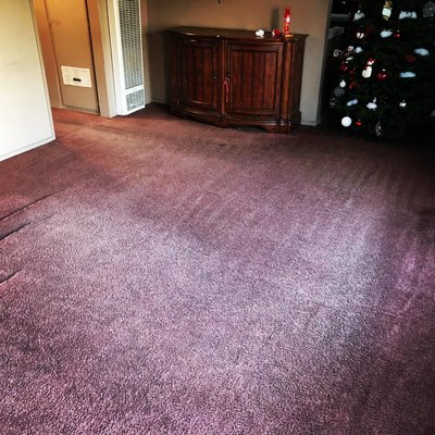 Photo of SteamBright Carpet Care