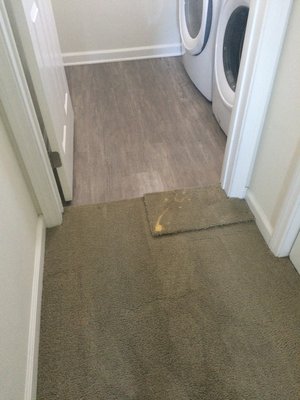 Photo of Traffic Carpet Care