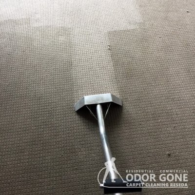 Photo of Odor Gone Carpet Cleaning Reseda