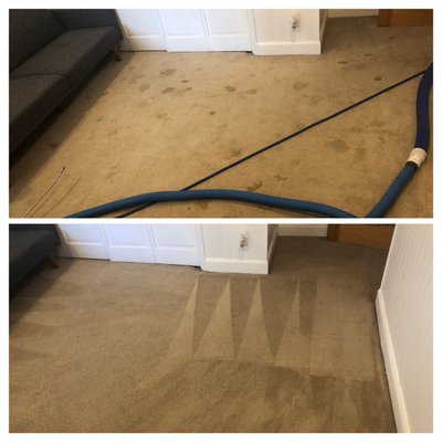 Photo of MJ Elite Carpet & Floor Care