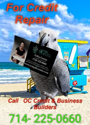 Photo of OC Credit & Business Builders