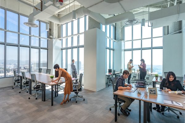 Photo of Serendipity Labs